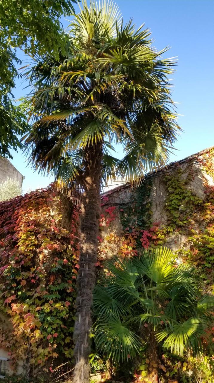 La Maison Blanche Bed & Breakfast Blaye